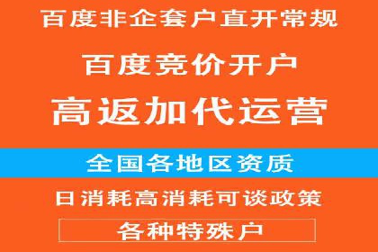 百度广告竞价效果评估：某知名品牌的投放效果分析